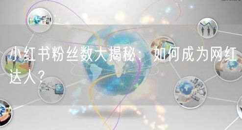 小红书粉丝数大揭秘：如何成为网红达人？
