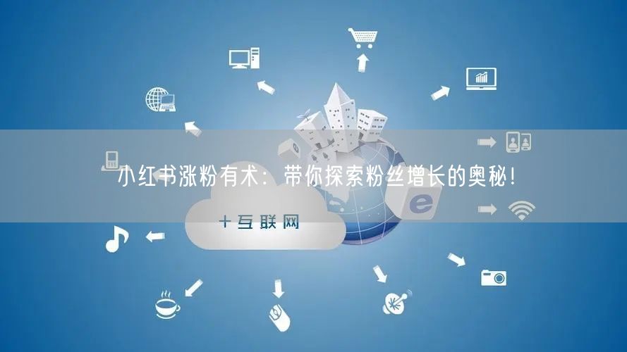 小红书涨粉有术：带你探索粉丝增长的奥秘！