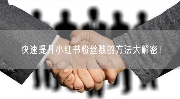 快速提升小红书粉丝数的方法大解密！
