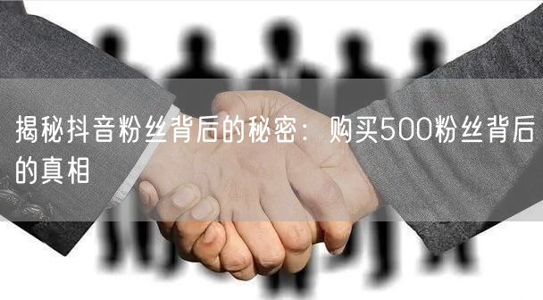 揭秘抖音粉丝背后的秘密：购买500粉丝背后的真相