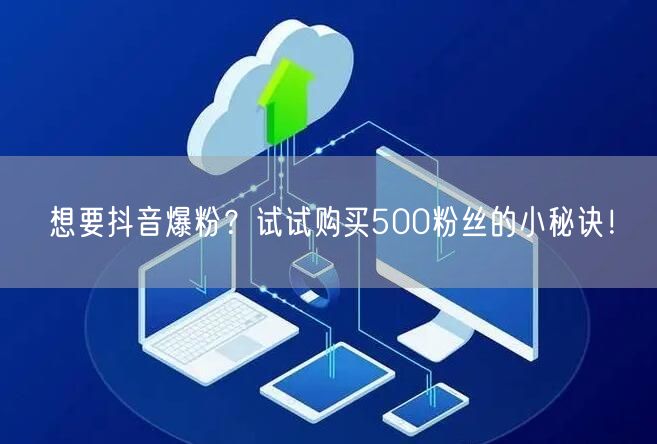 想要抖音爆粉？试试购买500粉丝的小秘诀！