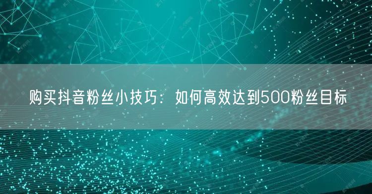 购买抖音粉丝小技巧：如何高效达到500粉丝目标