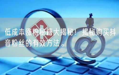 低成本涨粉秘籍大揭秘！揭秘购买抖音粉丝的有效方法。