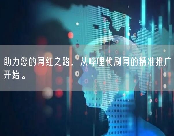 助力您的网红之路，从哔哩代刷网的精准推广开始。