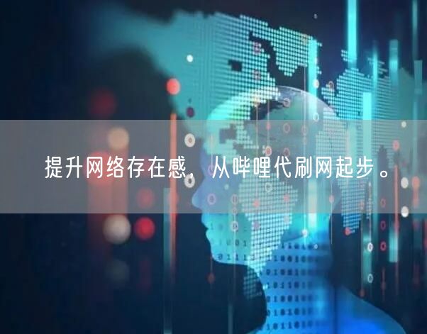 提升网络存在感，从哔哩代刷网起步。