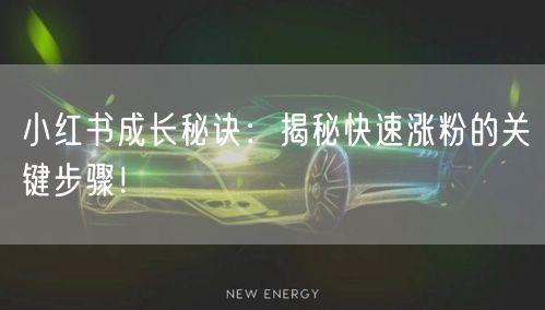 小红书成长秘诀:揭秘快速涨粉的关键步骤!