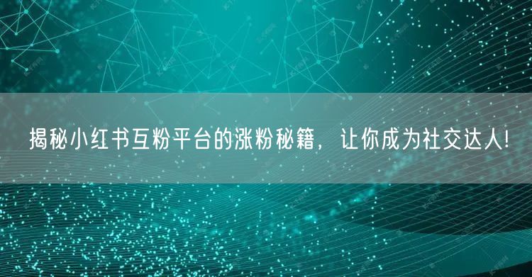 揭秘小红书互粉平台的涨粉秘籍，让你成为社交达人!