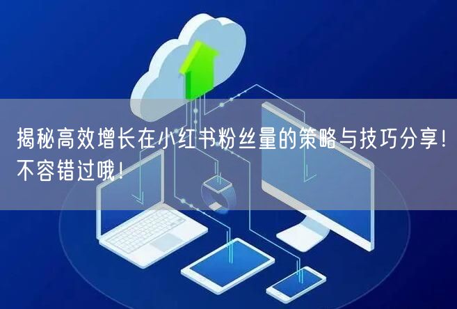 揭秘高效增长在小红书粉丝量的策略与技巧分享！不容错过哦！
