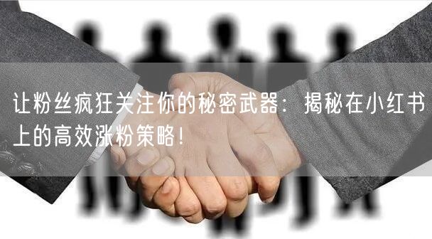 让粉丝疯狂关注你的秘密武器：揭秘在小红书上的高效涨粉策略！